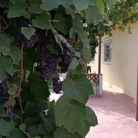 Casa Joao Do Vale *