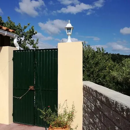 Casa Joao Do Vale Feriehus Delgada