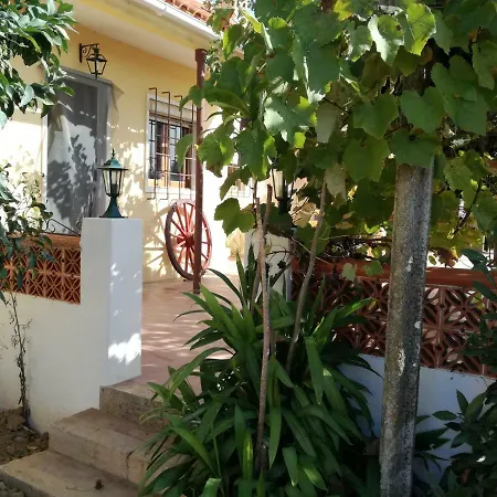 Casa Joao Do Vale Feriehus Delgada