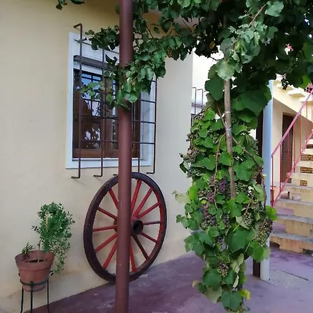 Casa Joao Do Vale Feriehus Delgada